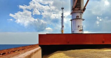 Rusia: Kemi dërguar 200,000 tonë drithë falas në gjashtë vende afrikane