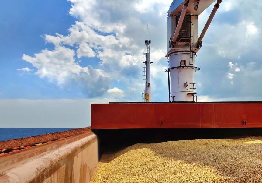 Rusia: Kemi dërguar 200,000 tonë drithë falas në gjashtë vende afrikane