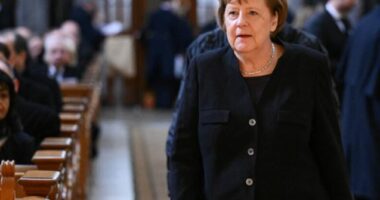 Merkel për Navalny: Viktimë e fuqisë ruse