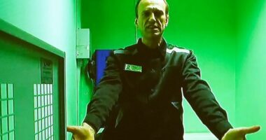 Inteligjenca ukrainase: Navalny vdiq për shkaqe natyrale