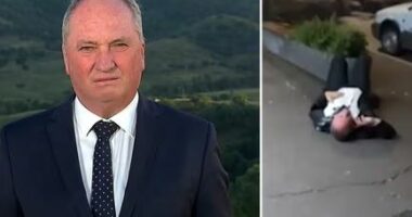 VIDEO/I dehur dhe i shtrirë në tokë, videoja e deputetit të Australisë bën xhiron e rrjetit