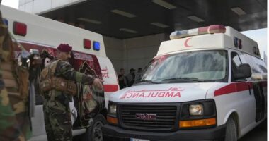 E rëndë, 30 vjeçari vret 12 familjarë pas një zënke