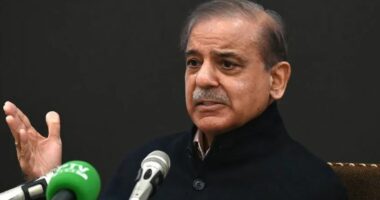 Zgjedhjet në Pakistan/ Rivalët e Imran Khan arrijnë marrëveshje për të formuar qeverinë