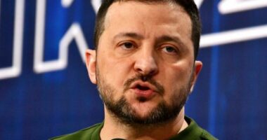 Zelensky: Anëtarësimi i Suedisë në NATO do të forcojë aleancën