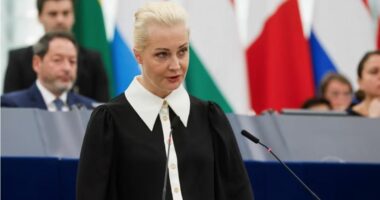 Bashkëshortja e Navalnyt i bën thirrje BE-së ta hetojë rrjedhën e parave të lidhura me Putinin