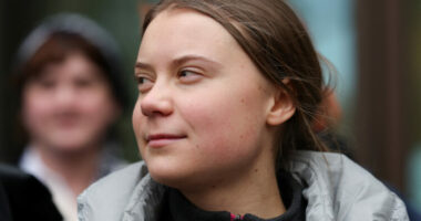 Arrestohet Greta Thunberg pasi mbështeti një grup palestinez