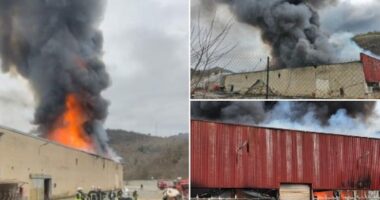 Rreth 900 tonë bateri litiumi digjen në një fabrikë në Francë