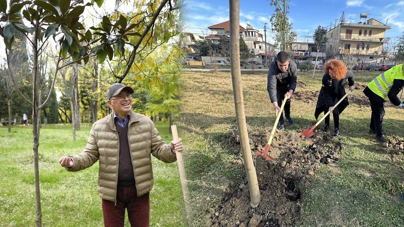 “Më shumë pemë, më shumë ajër për Tiranën”/ Julinda Dhame: Po transformojmë kryeqytetin!