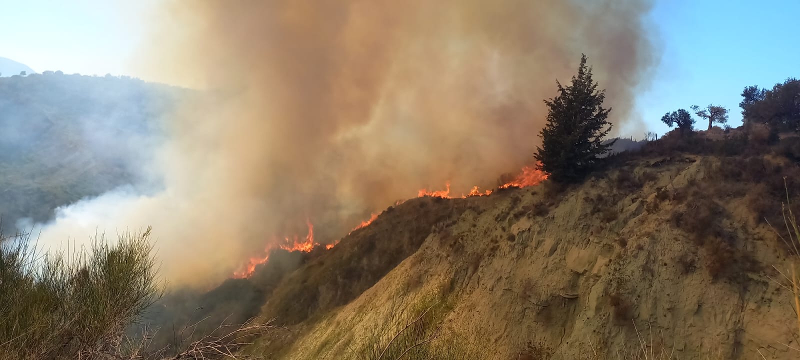 Aktivizohet një vatër zjarri në fshatin Kërkovë të Vlorës