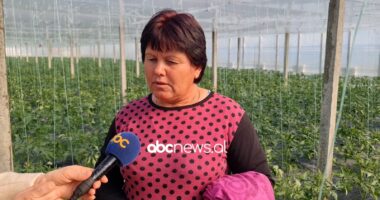 Sera ku bletët bëjnë punën e bujkut/ Fermerja nga Fieri: Investimi bindi fëmijët të mos emigrojnë