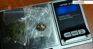 “Tempulli 2″/ Me doza kanabisi gati për shitje, arrestohet 24-vjeçari në Lezhë