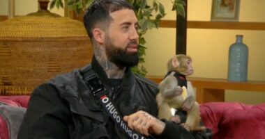 Koreografi shqiptar jeton me majmunin e veçantë: Kushton deri në 7 mijë euro, takimi i  parë nuk ishte siç e prisja