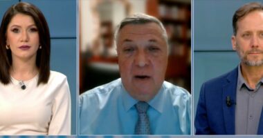 Potencialet e Shqipërisë/ Adrian Civici: Ja sektorët më premtues për ekonominë tonë