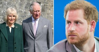 Princi Herri kërkoi që Kamila të largohej nga dhoma kur takoi Mbretin Karli III