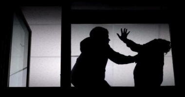 Kreu marrëdhënie seksuale me një të mitur pa dëshirën e saj dhe rrahu gruan, arrestohet 18-vjeçari në Tufinë