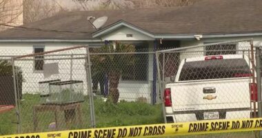 SHBA, adoleshenti qëllon për vdekje hajdutin