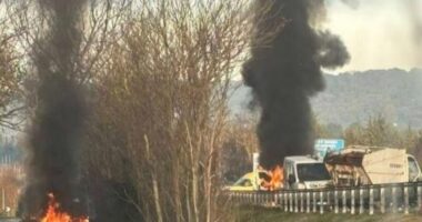 Grabitën 5 milionë euro, zbardhet skema e grabitësve në Itali