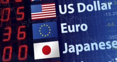 Euro në vend numëro/ Këmbehet për 103.7 lekë. Dollari zhvlerësohet, zbret në 95.5 lekë