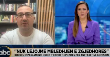 “Nuk do të lejojmë mbledhjen fizike të zgjedhores”, deputeti Korreshi: Të shkojmë në grevë urie derisa situata të kthehet në normalitet