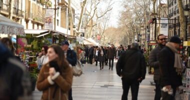 Pse shkurti është muaji më i mirë për të vendosur objektiva, sipas psikologëve