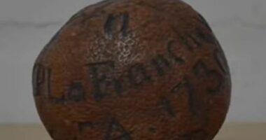 Një limon ngjyrë kafë i shekullit të 19-të shitet për 1600 euro