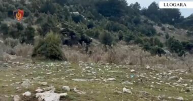 Ndotën mjedisin në Llogara, procedohen tre administratorë restorantesh