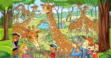 Iluzioni optik/ Vetëm njerëzit me IQ të lartë mund ta gjejnë përgjigjen