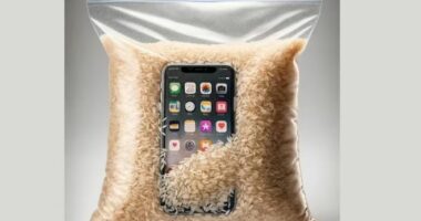 Paralajmërimi i Apple për klientët: Mos vendosni iPhone e lagur në oriz