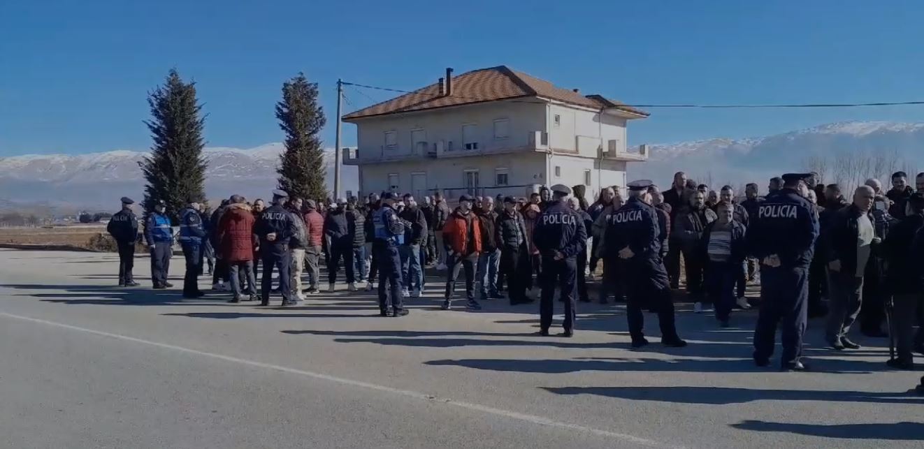 “Mollët kanë mbetur stok”/ Fermerët e Maliqit dalin në protestë, bllokojnë aksin Korçë-Pogradec