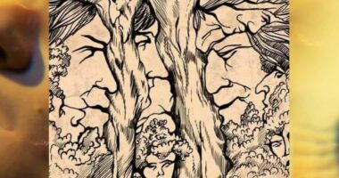 Iluzion optik/ Vetëm 1% e popullsisë mund të dallojë të 9 fytyrat e fshehura