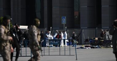 Sulmi terrorist n&euml; Stamboll, arrestohen 40 persona