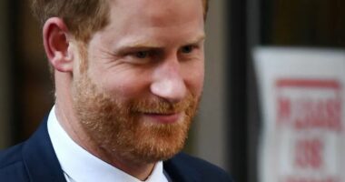 Princi Harry humbet sfidën me Gjykatën e Lartë: Reduktohen fondet për mbrojtjen e tij në terrenin britanik