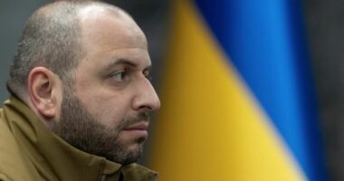 Aleati kryesor i Zelenskyt emërohet në krye të Shërbimit të Inteligjencës së Jashtme të Ukrainës