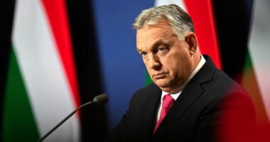 Orbani bën fushatë zgjedhore me mesazhe anti-Ukrainë