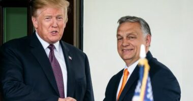 Orban do të takohet me Trump në Florida