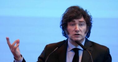 Presidenti argjentinas planifikon të pushojë nga puna 70,000 punonjës të sektorit publik