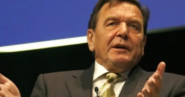 Ish-kancelari gjerman Schroder: Perëndimi duhet të negociojë me Putinin