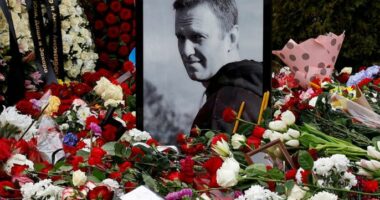 Gjykata ruse hedh poshtë padinë e nënës së Navalny