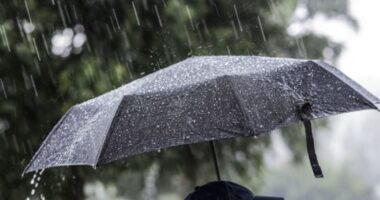 Vranësira dhe reshje shiu, parashikimi i motit për sot