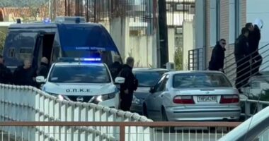 U kap me 100 kilogramë drogë bashkë më policin grek/ Dëshmia e shqiptarit: Jam informator, mendoja se merrja pjesë në operacion