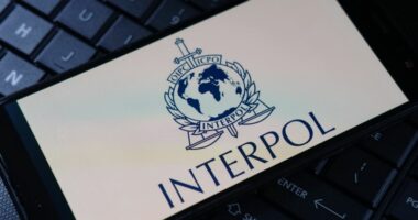 Interpol: Trafikimi i qenieve njerëzore në Azinë Juglindore është kthyer në një krizë globale