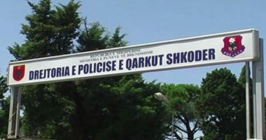 Shkodër/ Dyshohet se kanosi me thikë një grua, ndalohet 66-vjeçari