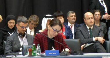 Drejtoresha e CEFTA-s, Gačević: Një treg i përbashkët rajonal për integrimin e shpejtë në BE