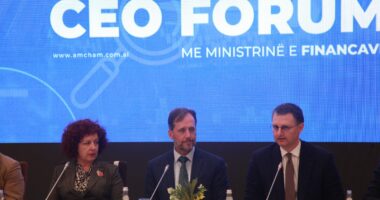 Tatimi mbi pagat do të rishikohet/ Mete: Në qershor draft me masa lehtësuese