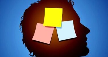 Një zakon i thjeshtë i përditshëm që mund të përmirësojë kujtesën