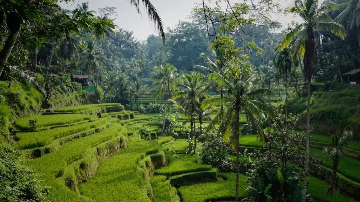 Rrëshqitja e dheut shemb shtëpinë ku po qëndronin, humbin jetën dy turistët në Bali