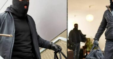 Shkatërrohet banda e hajdutëve shqiptarë në Austri, vodhën para dhe sende me vlerë 200 mijë euro