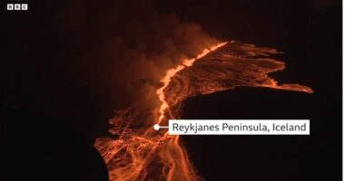 VIDEO/ Shpërthimi i vullkanit në Islandë, shpallet gjendja e jashtëzakonshme në Gadishullin Reykanes