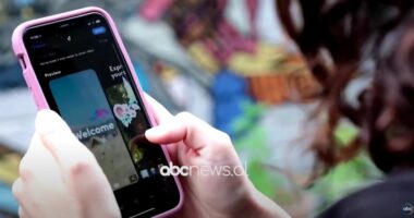 Dhuna në rrjete sociale/ Rritet numri i abuzimeve nga adoleshentët në platformat “online”