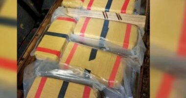 “Mos thuaj që autobusi…”, zbardhen përgjimet mes pronarit dhe shoferit që tentuan të trafikonin kokainë drejt Italisë